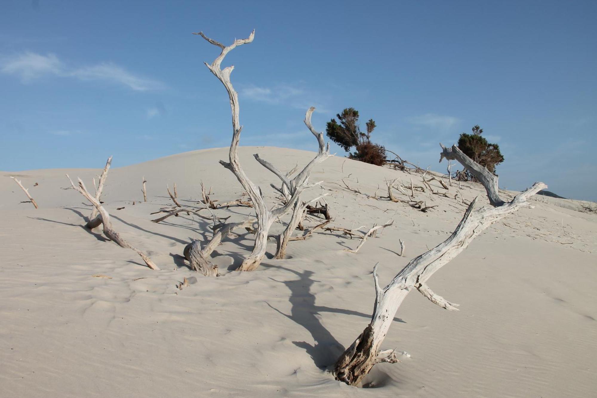 Rustico Porto Pino 30 Mt Dalla Spiaggia 外观 照片
